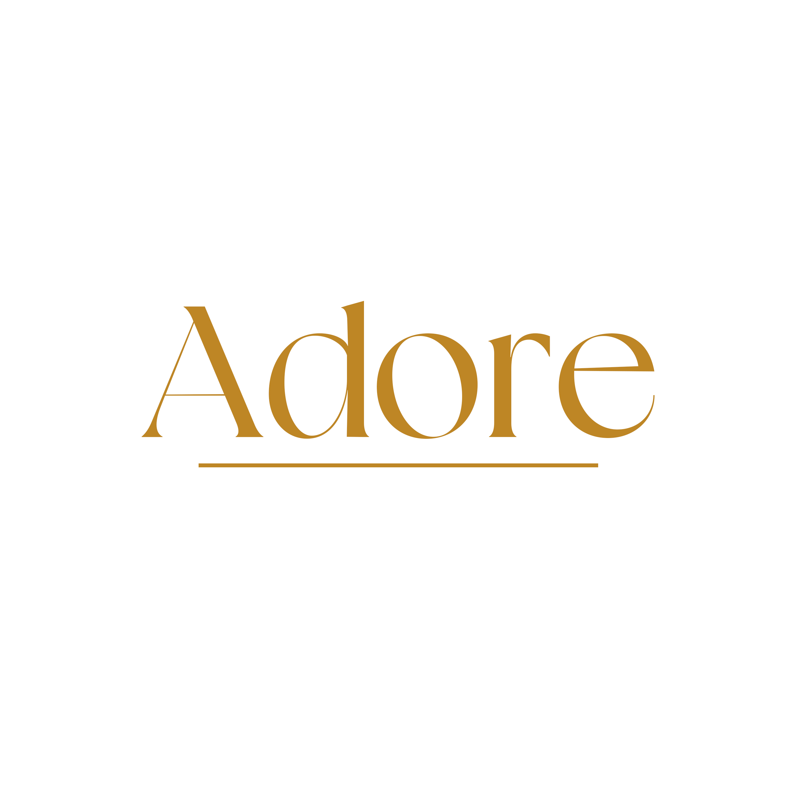 Adore - Baby & Maternity Photographer in Gorakhpur|Banquet Halls|Event Services