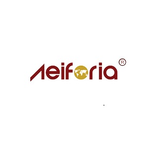 Aeiforia Architects|Accounting Services|Professional Services