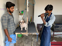 Akshara Pet Clinic Medical Services | Veterinary