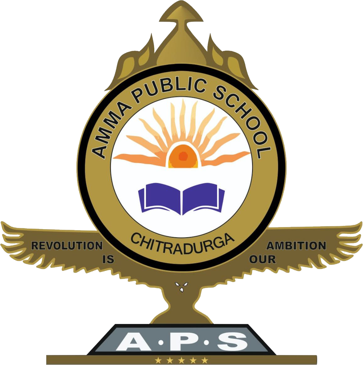 AMMA PUBLIC SCHOOL|Colleges|Education