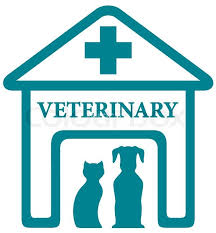 Ashoka vet clinic|Hospitals|Medical Services