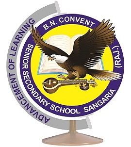 B.N. Convent Sr. Sec. School|Schools|Education