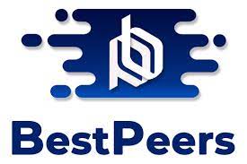 BestPeers InfoSystem Private Limited Logo