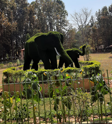 Bhagwan Birsa Biological Park Travel | Zoo and Wildlife Sanctuary 