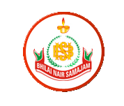 Bhilai Nair Samajam School Logo