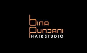 Bina Punjani Hair Studio Logo