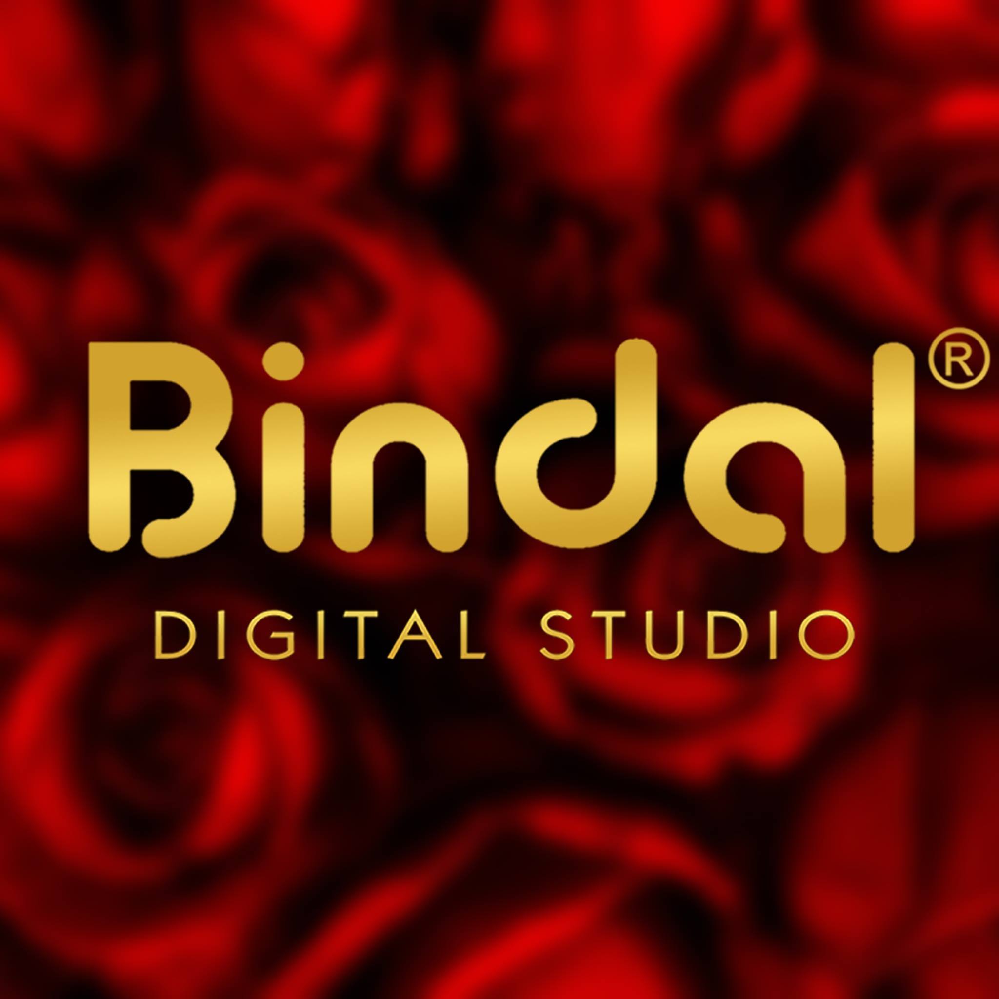 Bindal Studio Logo