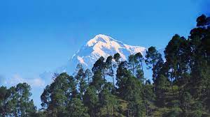 Binsar Wildlife Sanctuary Travel | Zoo and Wildlife Sanctuary 