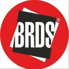 BRDS Drive In Logo