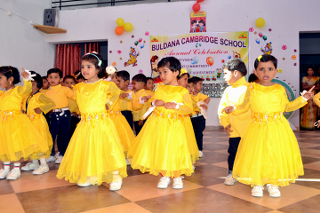 Buldana Cambridge School Education | Schools