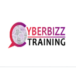 Cyberbizz Training - Digital Marketing Courses in Noida, NCR|Schools|Education