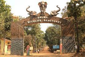 dalma wildlife sanctuary Travel | Zoo and Wildlife Sanctuary 