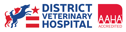 District Veterinary Hospital Logo