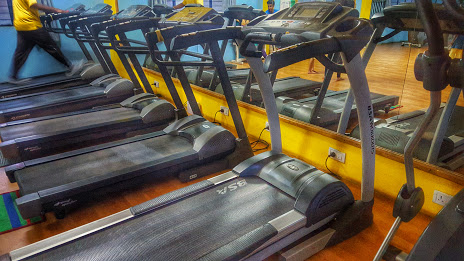 Elite Fitness Active Life | Gym and Fitness Centre