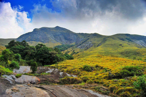 Eravikulam National Park Travel | Zoo and Wildlife Sanctuary 