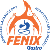 Fenix Gastro Hospital|Diagnostic centre|Medical Services