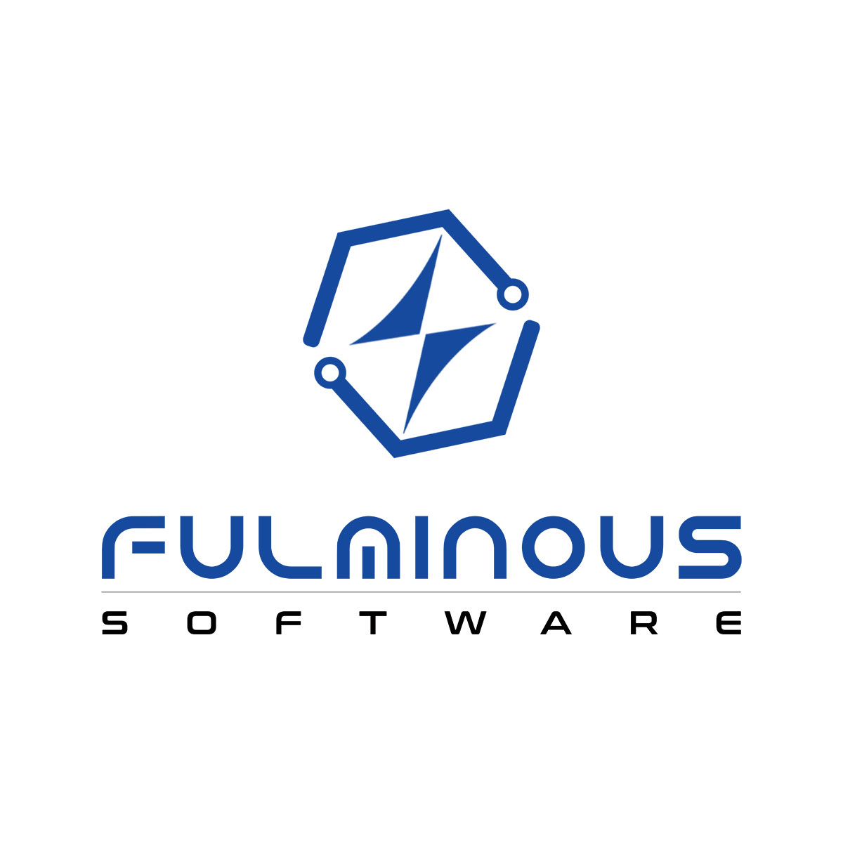 Fulminous Software|Marketing Company|Professional Services