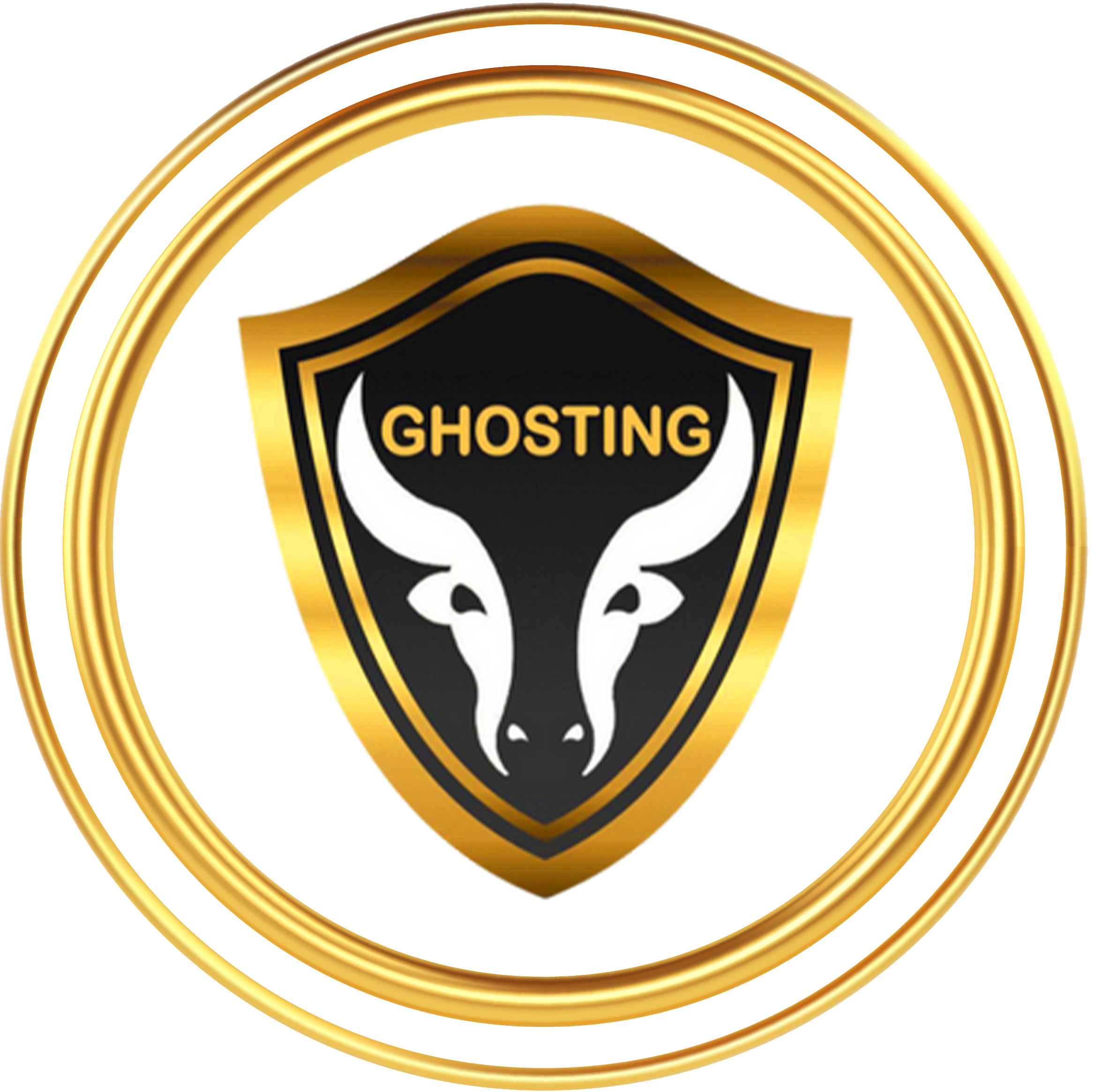 Ghosting Tech|Architect|Professional Services