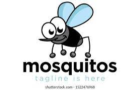 GM Mosquito Nets|Interior Designers|Home Services