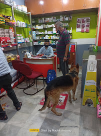 Goyal dog hot sale clinic