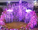 Gulab Vatika Marriage Garden|Photographer|Event Services