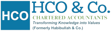 HCO & Co.|Legal Services|Professional Services