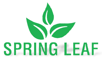 Hotel Spring Leaf Logo