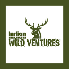 Indian Wild Ventures Logo