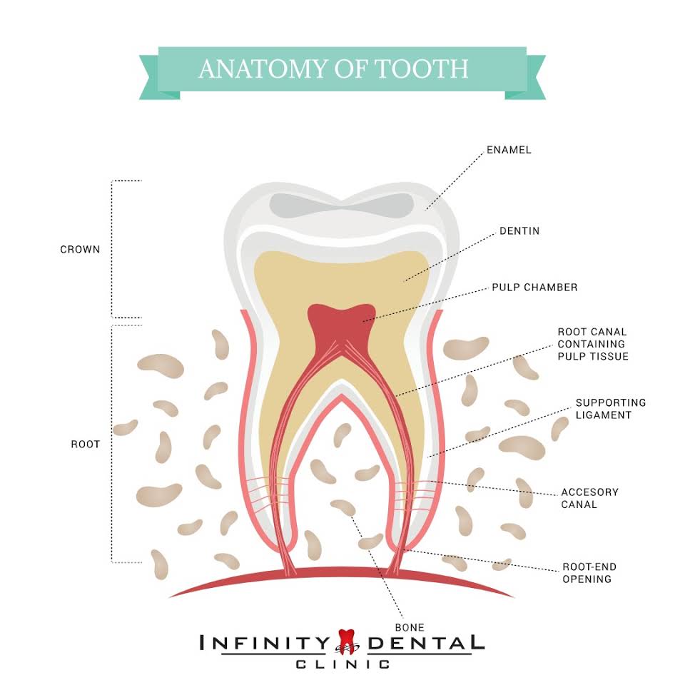 Infinity Dental Clinic Medical Services | Dentists