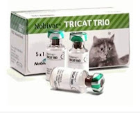 IRIS DRUG STORE Medical Services | Veterinary