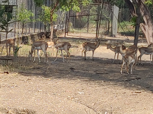 Kakatiya Zoological Park, Warangal Travel | Zoo and Wildlife Sanctuary 