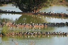 Karikili Bird Sanctuary Travel | Zoo and Wildlife Sanctuary 