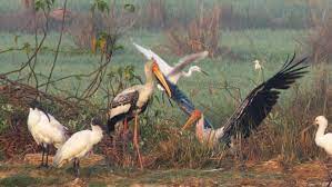 Lakh Bahosi Sanctuary Travel | Zoo and Wildlife Sanctuary 