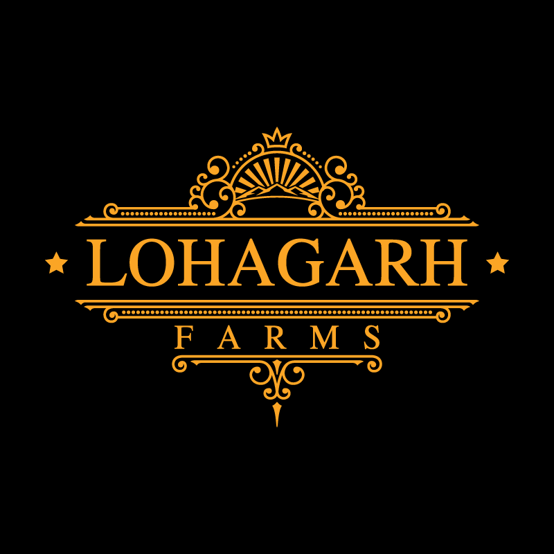 Lohagarh Farms|Adventure Park|Entertainment