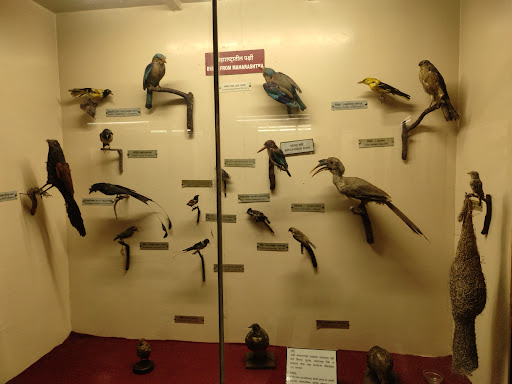 Mahatma Phule Museum Travel | Museums