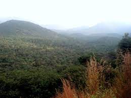 Malai Mahadeshwara Wildlife Sanctuary Travel | Zoo and Wildlife Sanctuary 