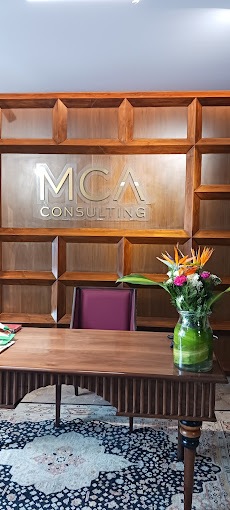 MCA Consulting Financial Institution | Accounting