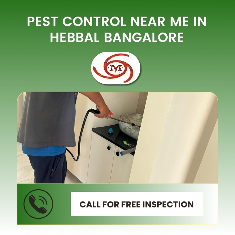 Micro Kills Pest Control Services Home Services | Pest Control