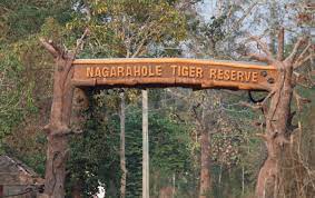 Nagarhole National Park Travel | Zoo and Wildlife Sanctuary 