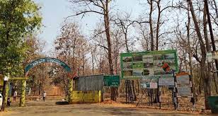 Nagzira Wildlife Sanctuary Travel | Zoo and Wildlife Sanctuary 