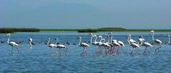 Nalbana Bird Sanctuary Travel | Zoo and Wildlife Sanctuary 