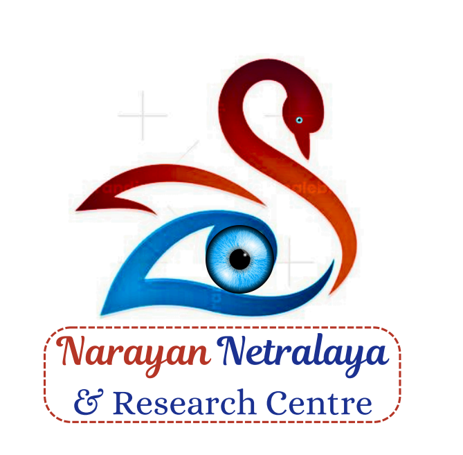 Narayan Netralaya Eye Hospital Logo