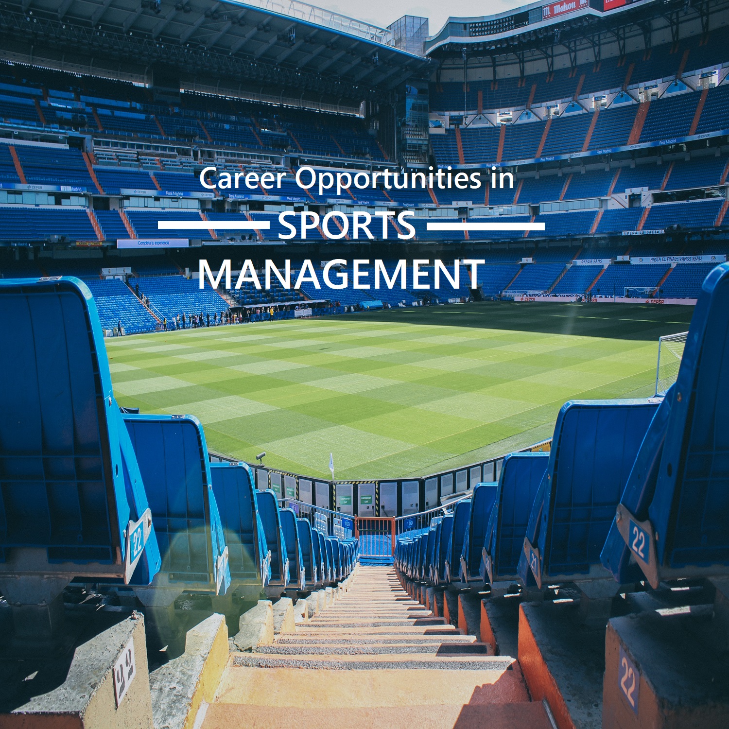 NASM Sports Management Institute Education | Colleges