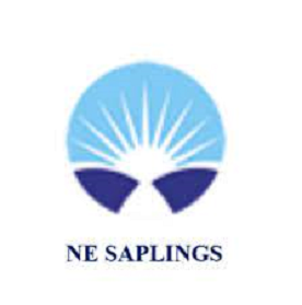 NE Saplings|Education Consultants|Education