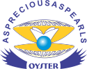 Oyster Group of Institutes Logo