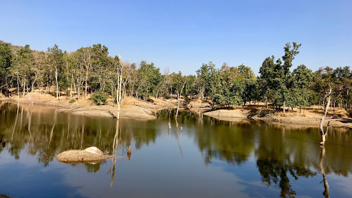 Pench National Park Travel | Zoo and Wildlife Sanctuary 