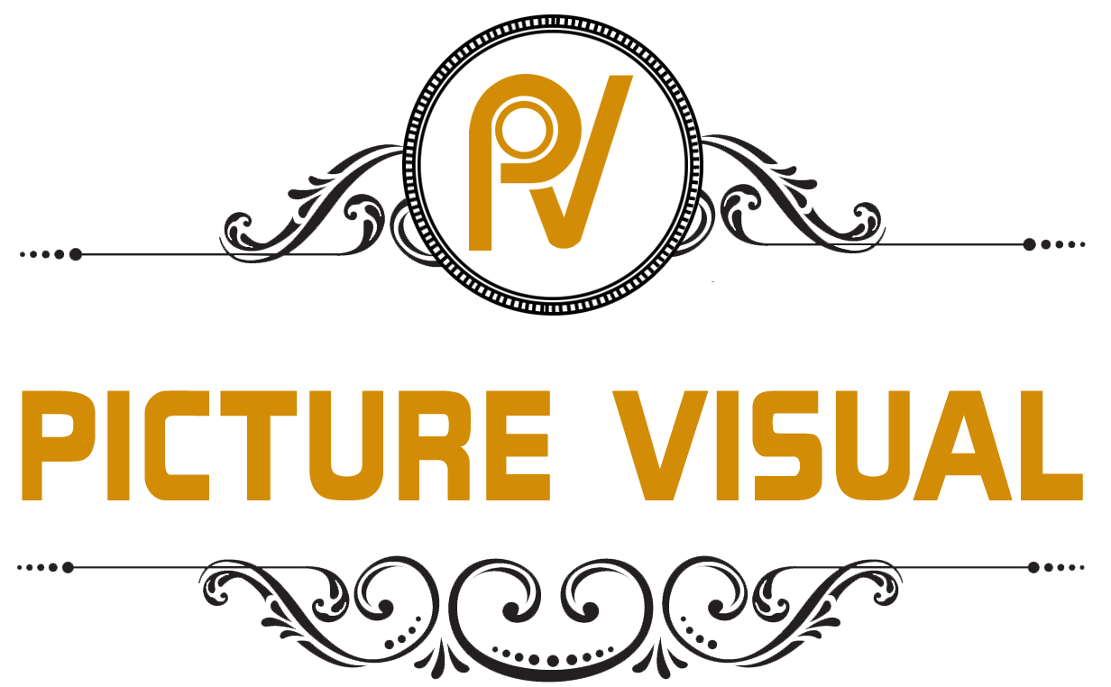 picture visual Logo