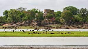 Pocharam Wildlife Sanctuary Travel | Zoo and Wildlife Sanctuary 