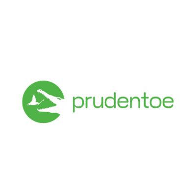 Prudentoe Dental|Hospitals|Medical Services