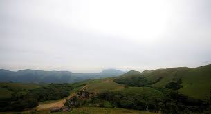 Pushpagiri Wildlife Sanctuary Travel | Zoo and Wildlife Sanctuary 